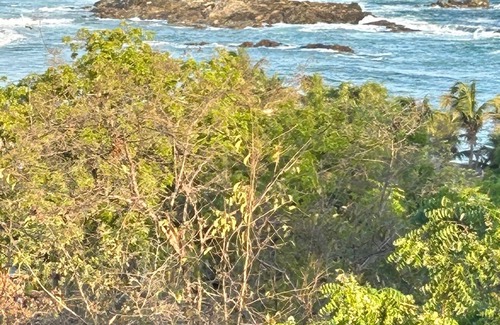 San Agustinillo Cabin | Ocean View Cabanas Alegria - 3min walk to best beach/yoga/both villages.
