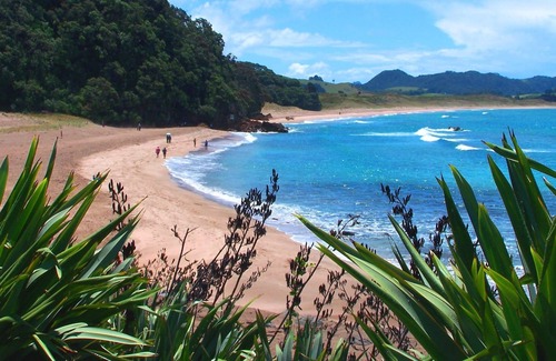 Hot Water Beach House | Ocean View Cottage - Beachfront - Amazing Views - Ideal for Couples
