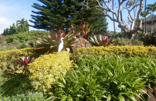 Lihue Condo | OCEAN VIEW FROM LANAI-ENJOY SOUND AND VIEW OF WAVES-STEPS TO BEACH-FREE PARKING
