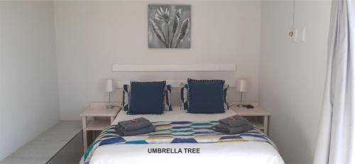 Wavecrest House | OCEAN VIEW GUEST HOUSE