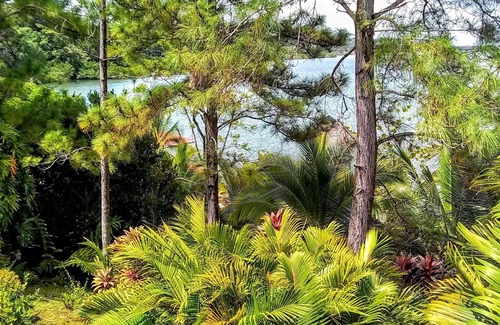 Isla Solarte Bed & Breakfast | Ocean view queen suit with private bathroom