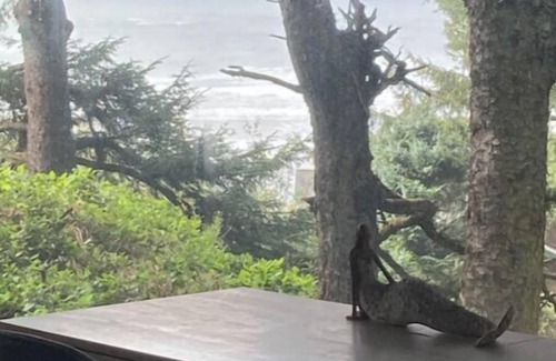 Agate Beach Apartment | Ocean View Studio in Agate Beach