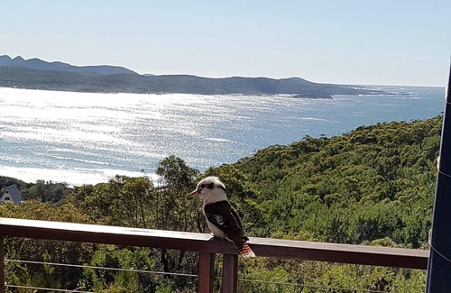 Boat Harbour House | Ocean views, aircon, linen, wifi & foxtel
