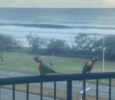 Alexandra Headland Apartment | Ocean Views - Top floor