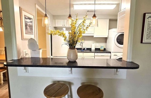 Demere Park Condo | Ocean Walk Beautiful Ground Floor Lake View Condo!