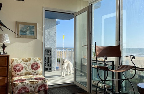 Northeast Virginia Beach Condo | Oceanfront 2 bedroom condo