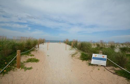 Marineland Acres House | Oceanfront 4-Bed Home in Palm Coast