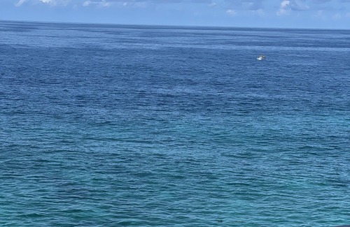 Negril House | Oceanfront, breathtaking views of turquoise Caribbean Sea, gated w/private beach