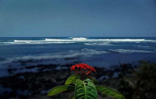 Santa Catalina Hotel | OceanFront Bungalows - Paradise Rentals