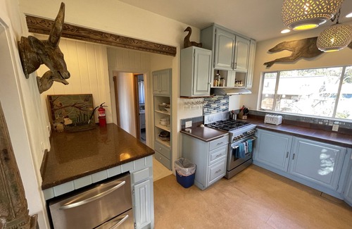 Stinson Beach House | Oceanfront, Master Ste, New deck, Remodeled, Dune deck, Media Rm, Private garden