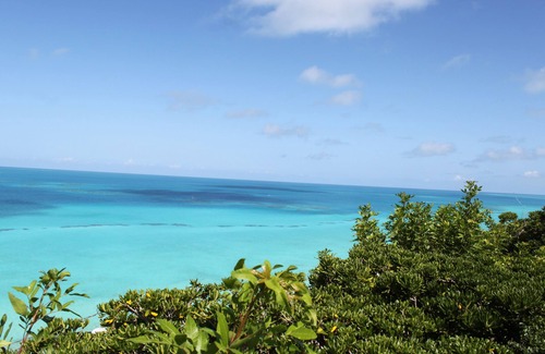 Sandys Apartment | Oceanview Studio within walking distance to Hog Bay Nature Reserve
