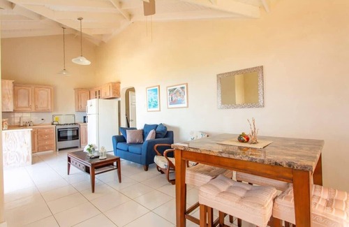 Fryers Well Apartment | Oceanview Terrace, Walk to Beach, WiFi & Parking