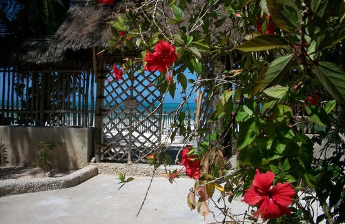 Pwani Mchangani Villa | OceanView Villa & Bungalows, Beachfront Private Villa.