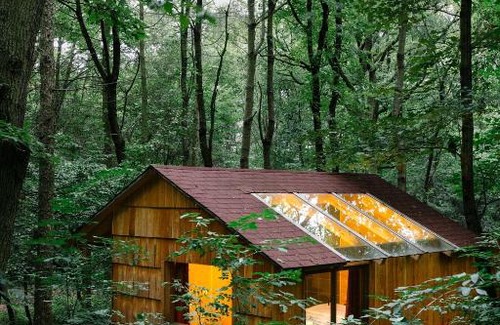 Kreuzstetten House | OCHYS Waldfreizeitpark
