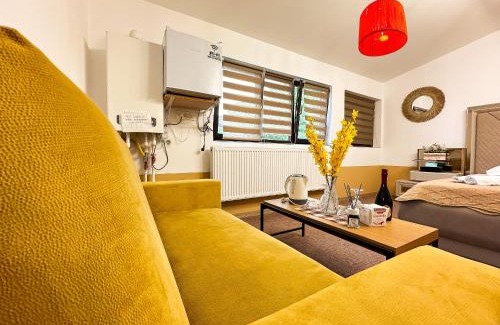 Craiova Apartment | Octapus Apartment