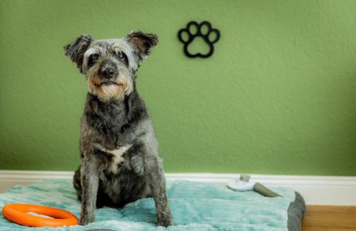 Horumersiel Apartment | ODA Ferien - Hunde herzlich willkommen
