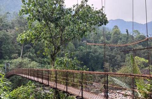 Sohra House | Odyssey Stays Nongriat - 3Kms trek from Main Road
