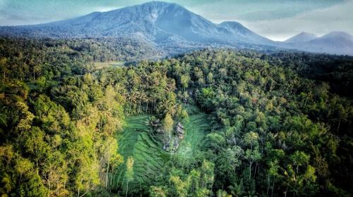 Wongaya Gede Cabin | Oemah Tepi Sawah