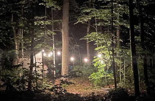 McDougall Cabin | Off grid, boat access fishing retreat.