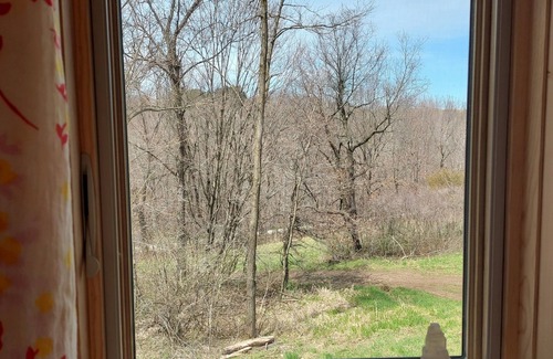 Soldiers Grove Cabin | Off-grid Cabin in the Heart of the Driftless