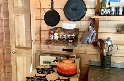 Wetmore House | Off-Grid Clean, Cozy Log Cabin 4.95 Star Rating 86 Reviews