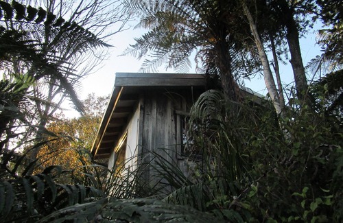 Charleston Cabin | Off grid immersed in native flora and fauna at Beaconstone Eco Stay
