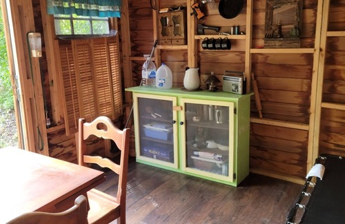 Hamburg Township Cabin | Off-Grid Waterfront Cabin in the Woods, bring your best friend!