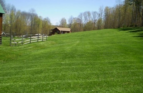 Middlebury Center Cabin | OFF THE BEATEN PATH BEAUTIFUL PRIVATE CABIN WIFI WELLSBORO nMEMORIAL DAY OPEN!