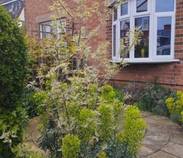 Leamington Spa House | Offa Home