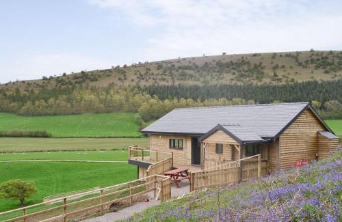 Kington House | Offa's Dyke Lodge - Uk10835