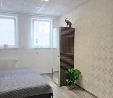 Ramstein-Miesenbach Apartment | Offbase Lodging No9