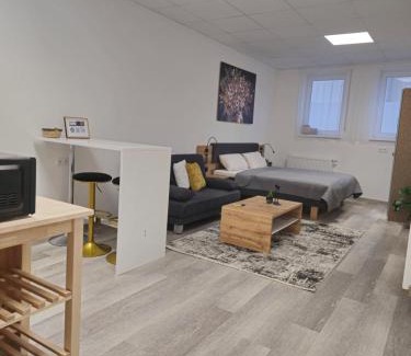 Ramstein-Miesenbach Apartment | Offbase Lodging No9