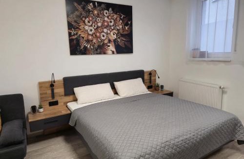 Ramstein-Miesenbach Apartment | Offbase Lodging No9