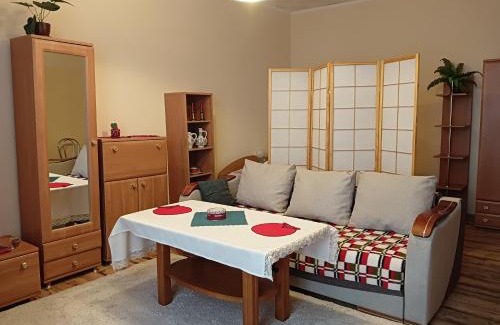Strzelce Opolskie Apartment | Oficynka