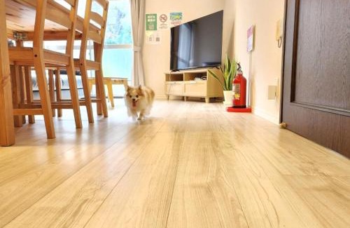 Sumoto Onsen House | Ohama House