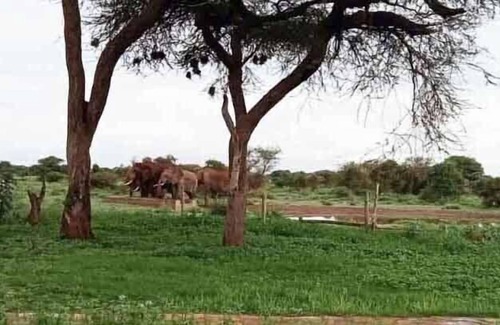 Kajiado Cottage | Oilepo Amboseli - Luxury Tents
