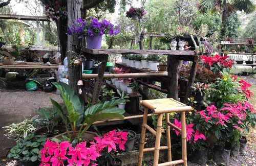 Det Udom Resort | Ok Farm Resort