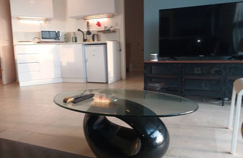 Herzliya Pituach Apartment | Okeanos bamarina hotel