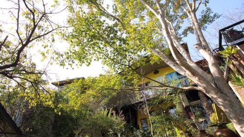 Zhudong House | Old Farmer Homestay