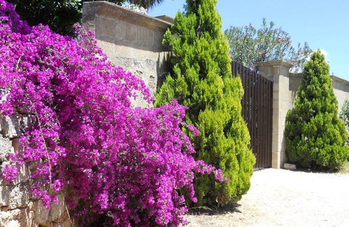 Il Monte House | Old Farmhouse