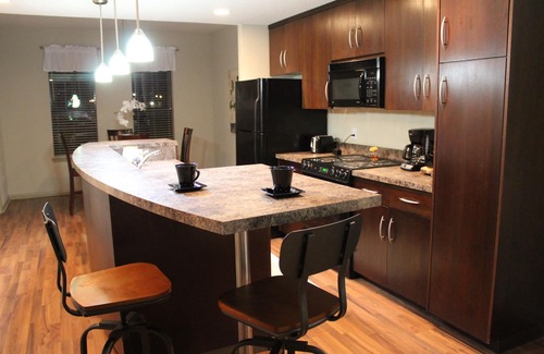 Fort Smith Apartment | Old Fort Loft near U.S. Marshals Museum/EV free charging/King & Queen suites!