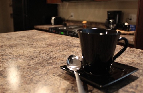 Fort Smith Apartment | Old Fort Loft near U.S. Marshals Museum/EV free charging/King & Queen suites!