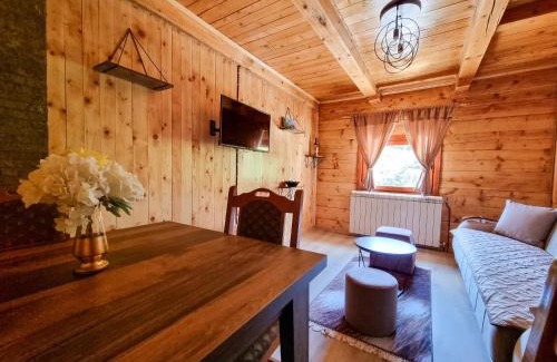 Brdo Apartment | OLD HOUSE LJUJIĆ