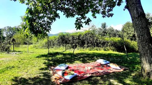 Gabala Villa | Old oak under the Mountain.