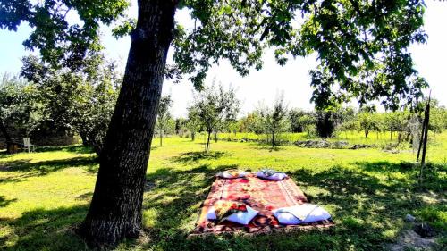 Gabala Villa | Old oak under the Mountain.