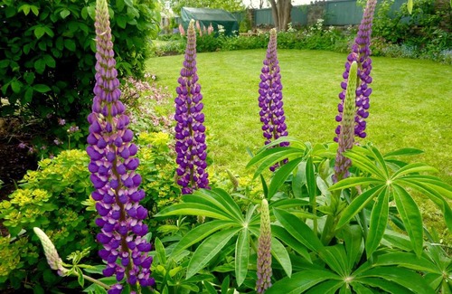 Talgarth Bed & Breakfast | Old Radnor Barn