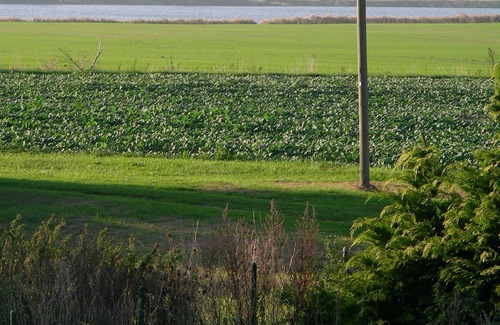 Ummanz House | Old renovated farmhouse, ca.1840, high quality furnishings with Bodden view