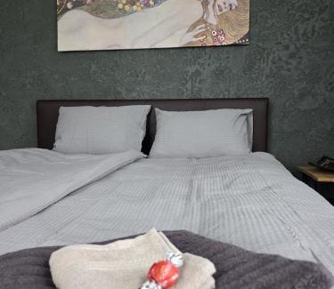 Tornkalns Apartment | Old Riga over the river, Free parking, up to 4ppl. Self Check-inout