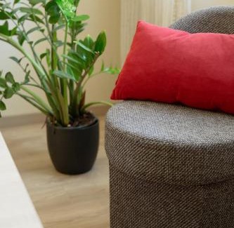 Jonava Apartment | Old Town Apartment