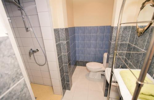 Alytus Apartment | Old Town Apartments